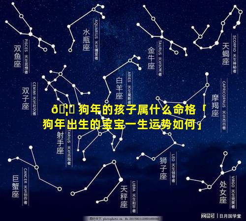 🦄 狗年的孩子属什么命格「狗年出生的宝宝一生运势如何」